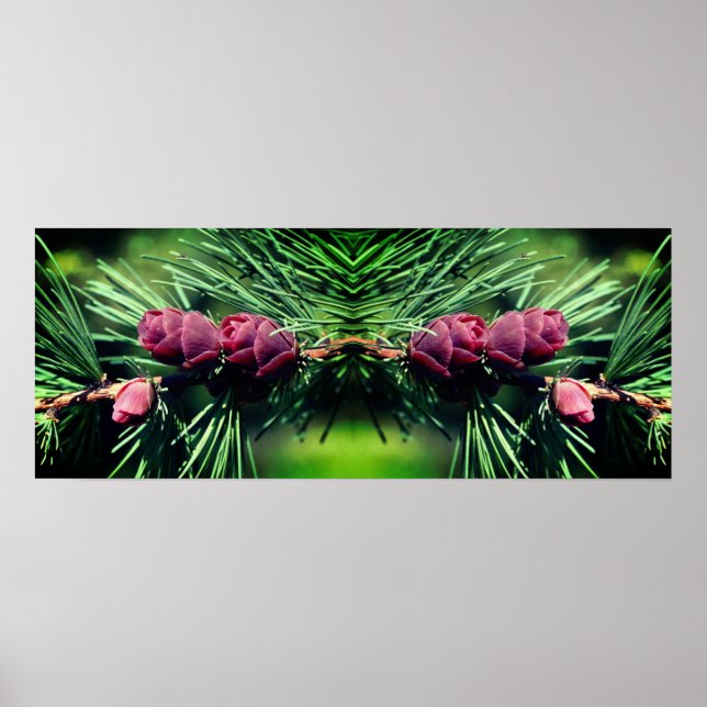 Miniature Pine Cones Mirror Abstract Poster (Front)
