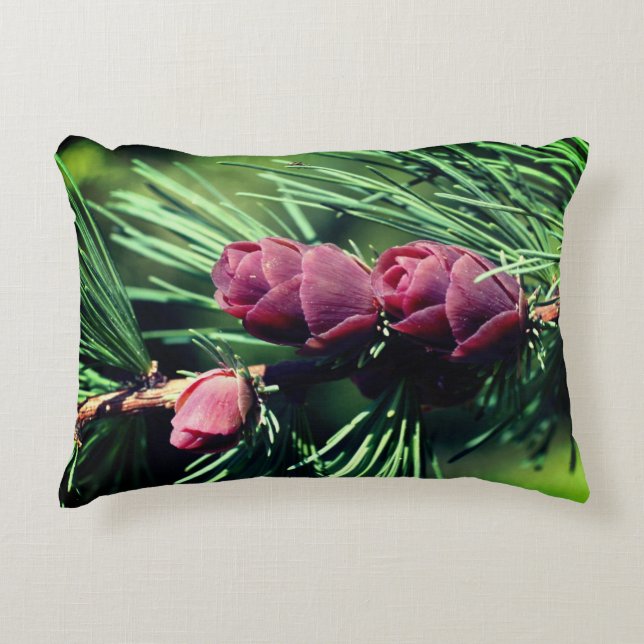 Miniature Pinecones Close Up Decorative Cushion (Front)