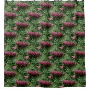 Miniature Pinecones Nature Pattern Shower Curtain