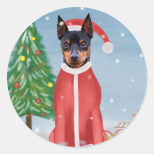 Miniature Pinsch Dog in Snow with Christmas Gifts  Classic Round Sticker