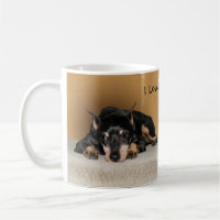 Miniature Pinscher aka Min Pin Love Pet Name