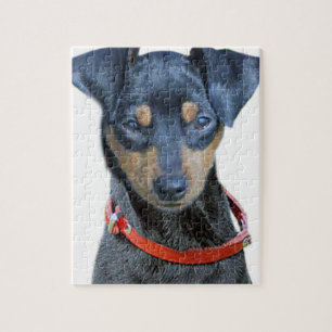 Miniature Pinscher Black and Brown Jigsaw Puzzle