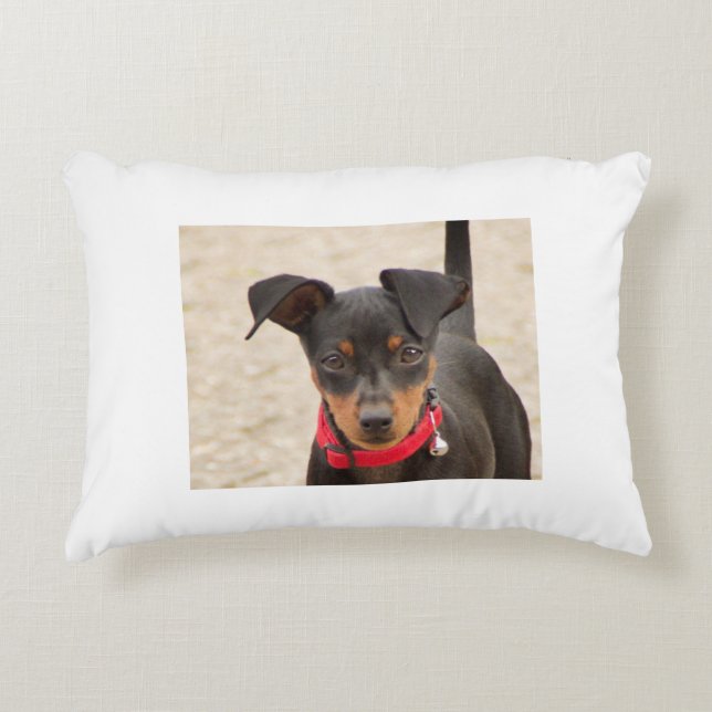 miniature-pinscher-black and rust decorative cushion (Front)