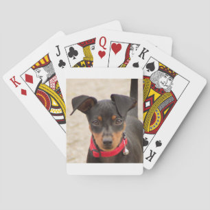 miniature-pinscher-black and rust playing cards