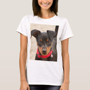 miniature-pinscher-black and rust T-Shirt