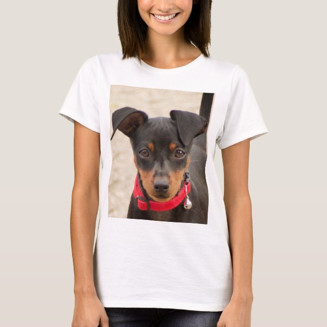 miniature-pinscher-black and rust T-Shirt (Front)