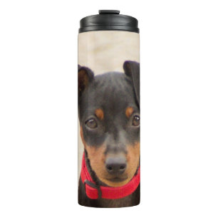miniature-pinscher-black and rust thermal tumbler