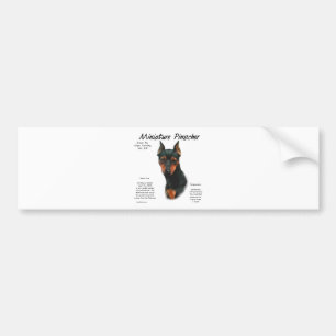Miniature Pinscher (blk/rust) History Design Bumper Sticker