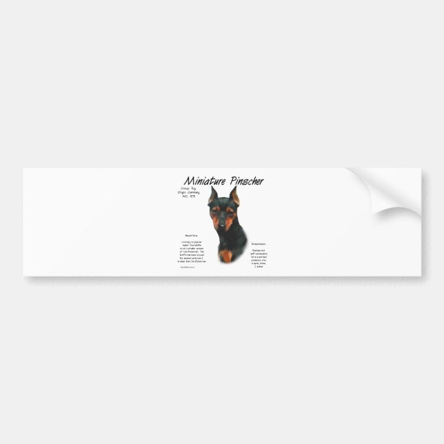Miniature Pinscher (blk/rust) History Design Bumper Sticker (Front)