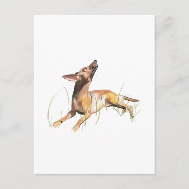 Miniature Pinscher Card, Personalized  Postcard (Front)