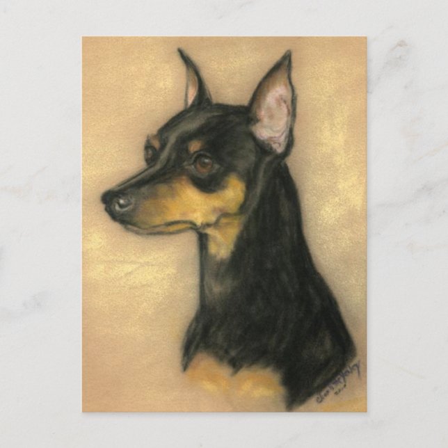 Miniature Pinscher Dog Art Postcard (Front)