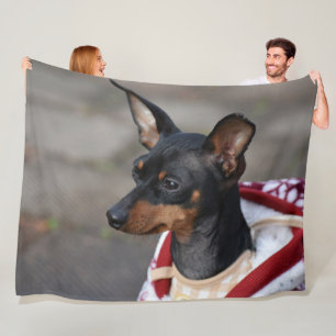 Miniature Pinscher Fleece Blanket