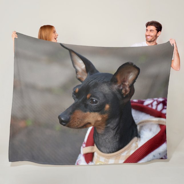 Miniature Pinscher Fleece Blanket (In Situ)