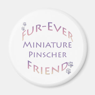 Miniature Pinscher Furever Magnet