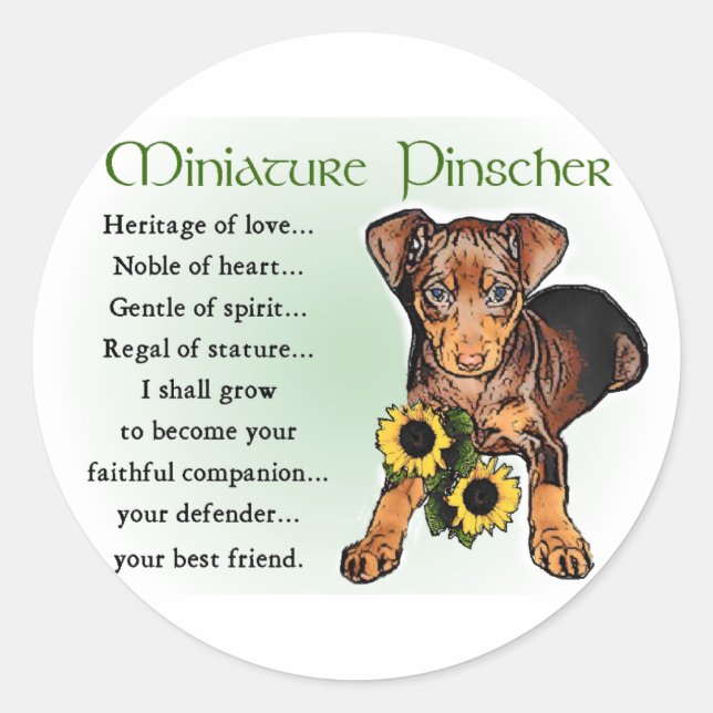 Miniature Pinscher Gifts Classic Round Sticker (Front)