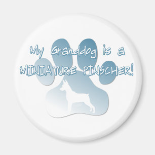 Miniature Pinscher Granddog Magnet