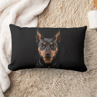 Miniature Pinscher isolated on black background Lumbar Cushion