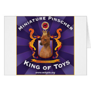 Miniature Pinscher: King of Toys