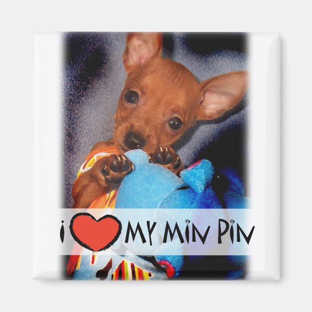 Miniature Pinscher Magnet (Front)
