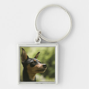 Miniature Pinscher (Min-Pin) 2 Key Ring