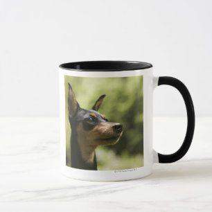 Miniature Pinscher (Min-Pin) Mug