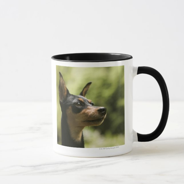 Miniature Pinscher (Min-Pin) Mug (Right)