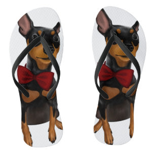 Miniature Pinscher (Min Pin) with Bow Flip Flops