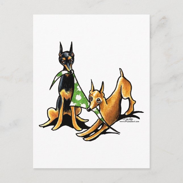 Miniature Pinscher n Apples Postcard (Front)