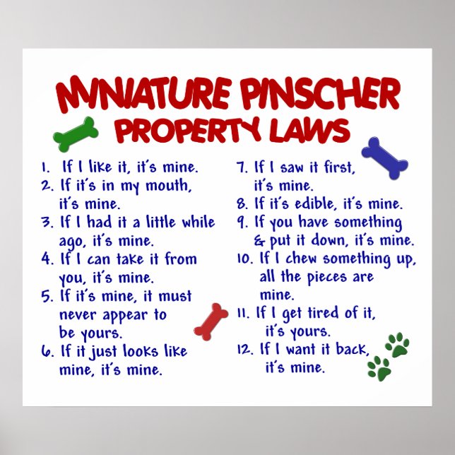 MINIATURE PINSCHER PL2 POSTER (Front)