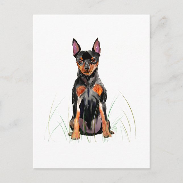 Miniature Pinscher Postcard, Min Pin  Postcard (Front)