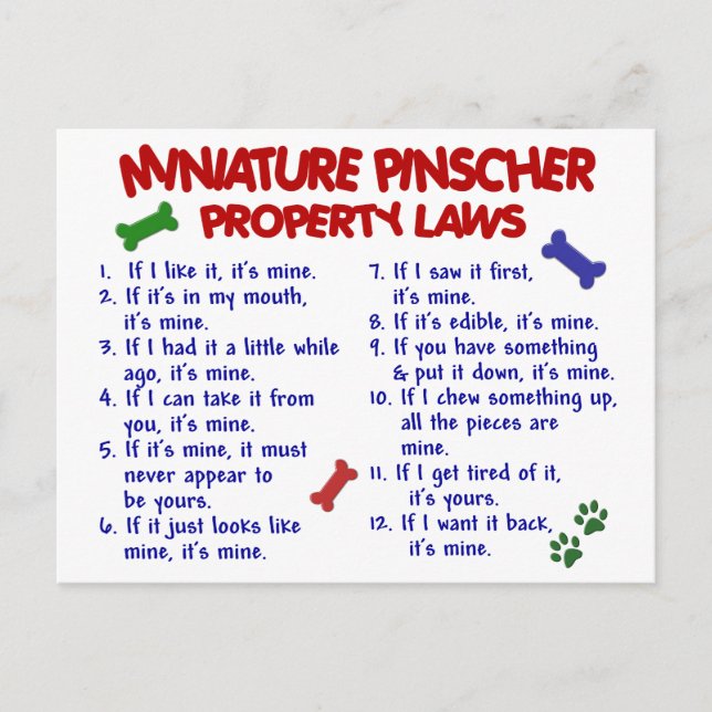 Miniature Pinscher Property Laws 2 Postcard (Front)