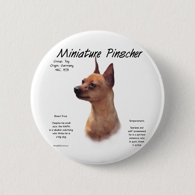 Miniature Pinscher (red) History Design 6 Cm Round Badge (Front)