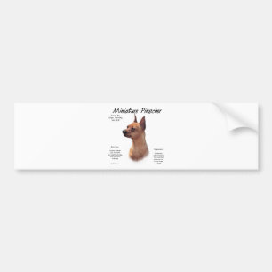 Miniature Pinscher (red) History Design Bumper Sticker