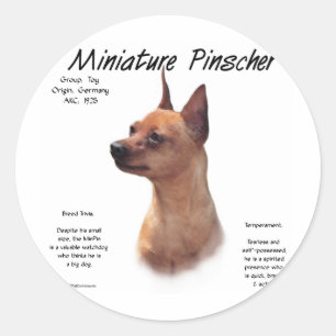 Miniature Pinscher (red) History Design Classic Round Sticker