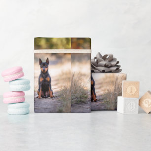 Miniature Pinscher Sitting Wrapping Paper