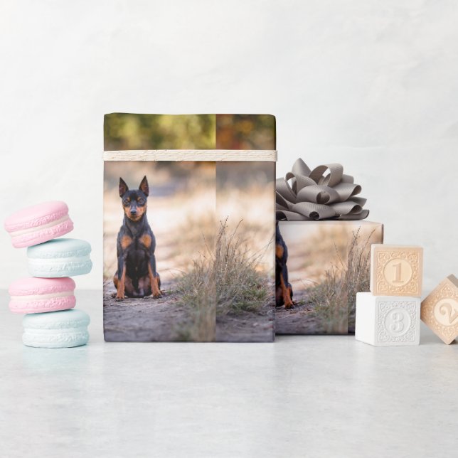 Miniature Pinscher Sitting Wrapping Paper (Baby Shower)