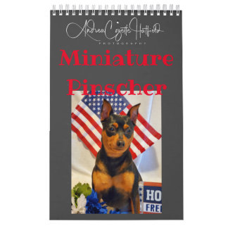 Miniature Pinschers  Calendar