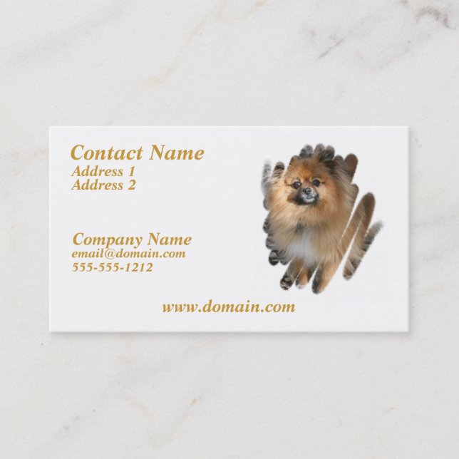 Miniature Pomeranian Dog Business Card (Front)
