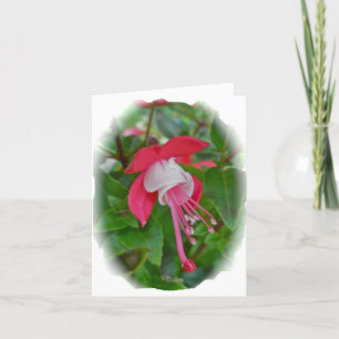 Miniature Red Fuschia Note Card