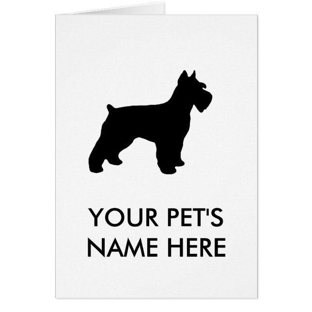 Miniature Schnauzer (Front)