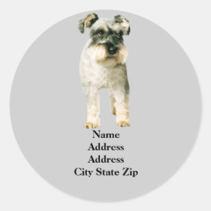 Miniature Schnauzer Address Label