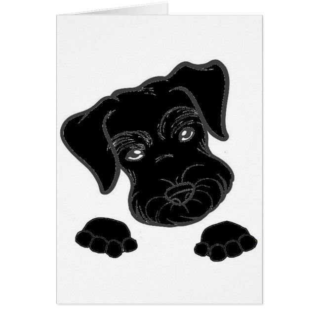miniature schnauzer black peeking (Front)