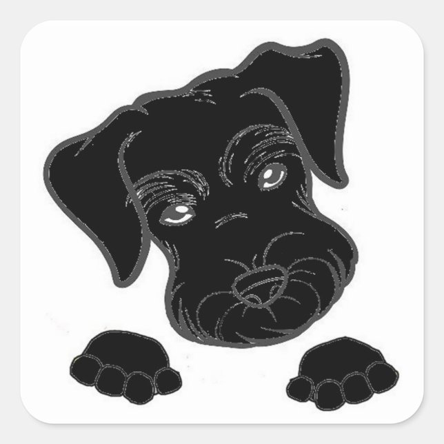 miniature schnauzer black peeking square sticker (Front)