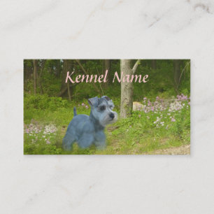 Miniature Schnauzer Breeder Business Card