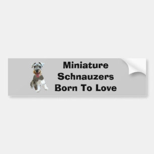Miniature Schnauzer Bumper Sticker