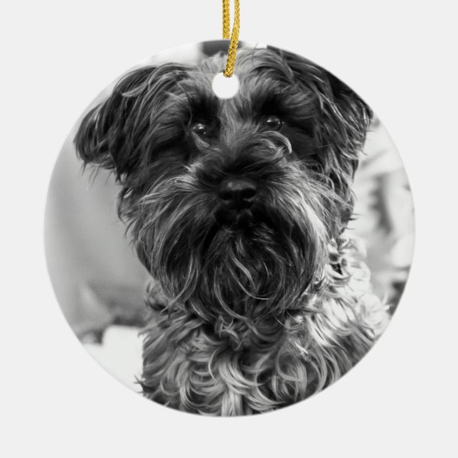 Miniature Schnauzer Ceramic Ornament (Front)