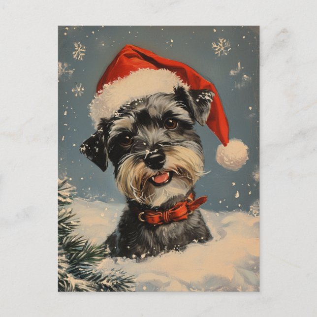 Miniature Schnauzer Christmas  Postcard (Front)