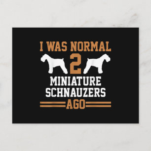 Miniature Schnauzer Dog 2 Two Dog Trainer School Postcard