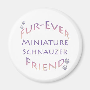 Miniature Schnauzer Furever Magnet