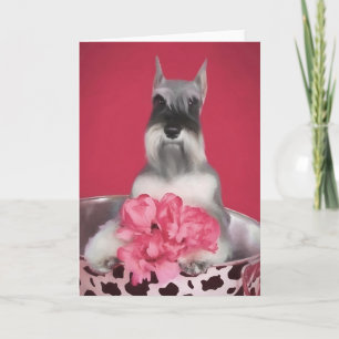 Miniature Schnauzer Greeting Card